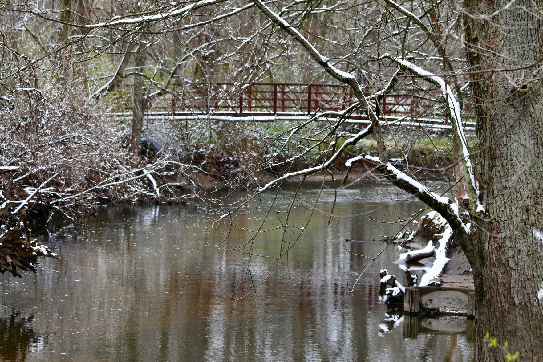 Deep River snow